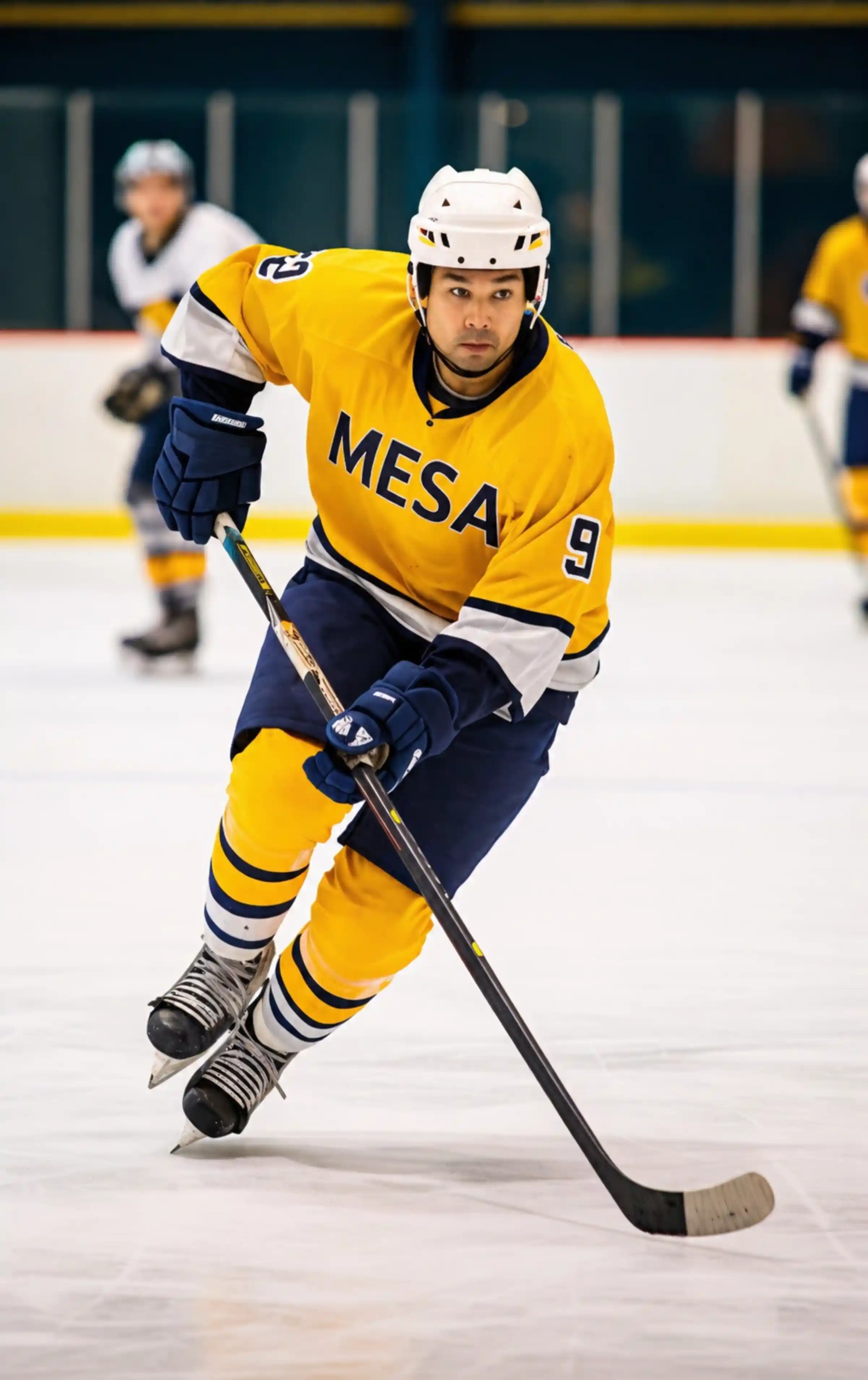 Ice Hockey custom sportswear category